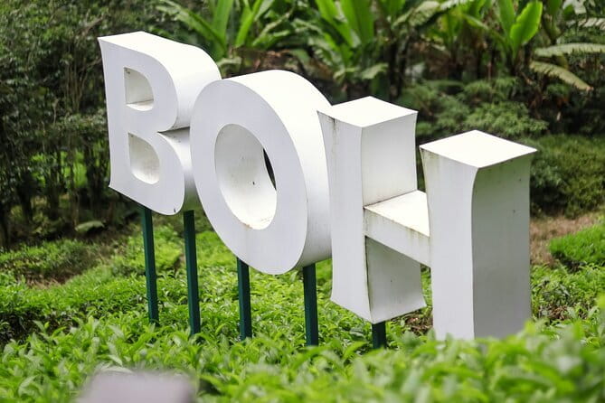 Cameron Highland Private Day Tour From Ipoh - Kea Farm Market and Raju Hill: Where the day turns from tea to fun