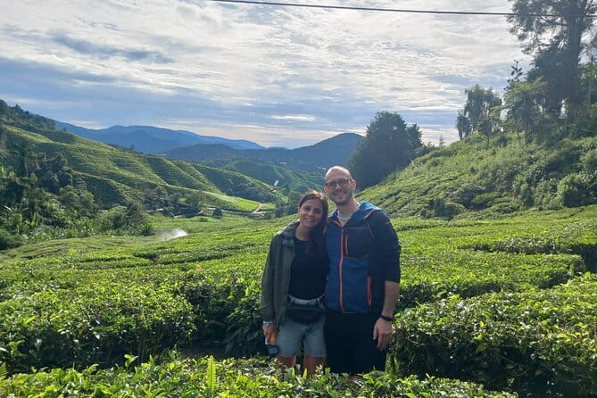 Cameron Highland Private Day Tour From Ipoh - Price and What You Really Get for $102.91 Per Person