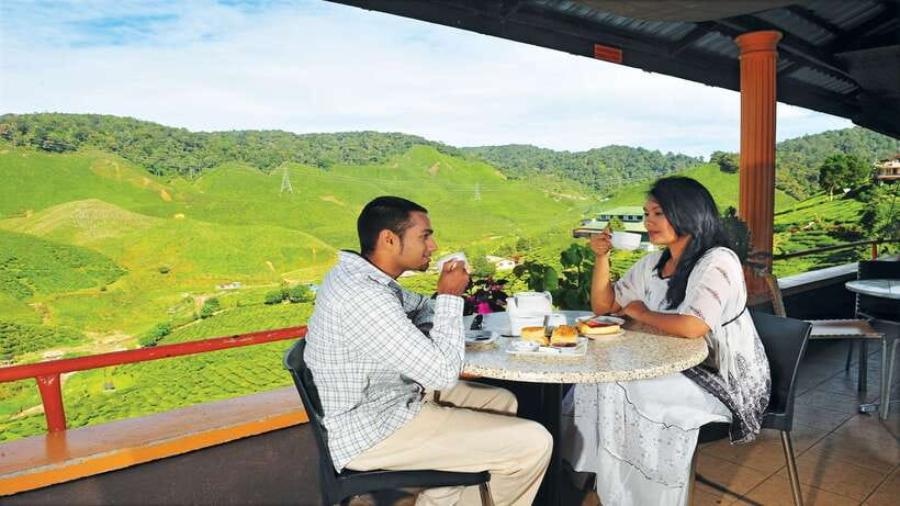 Cameron Highlands 1 Day Tour from Kuala Lumpur - Who This Tour Suits Best (and Who Might Want Another Option)