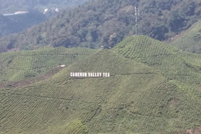 Cameron Highlands 3 Days 2 Night Tours Private (per Vehicle) - Getting from Kuala Lumpur: pickup and air-conditioned comfort