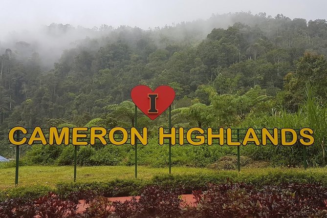 Cameron Highlands Amazing Day Trip Tour with Local Lunch - Key highlights worth your attention