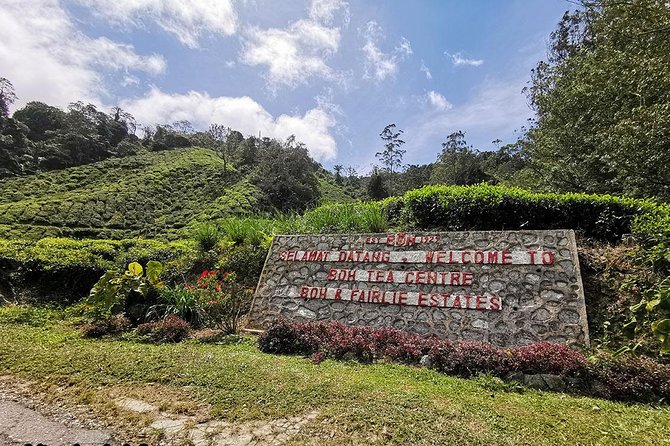 Cameron Highlands & Batu Caves Full-Day Tour - Getting a full-day mix from Kuala Lumpur without the stress