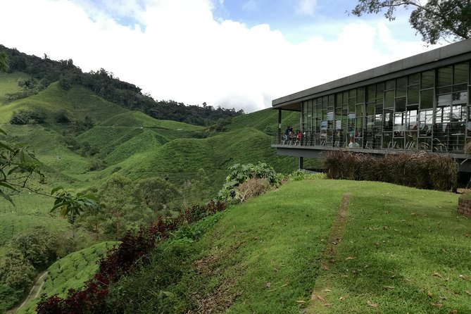 Cameron Highlands, Garden of Nature Full Day Private Guided Tour - Cameron Highlands the easy way: tea, strawberries, and farm produce