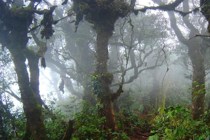 Cameron Highlands: Nature's Wonder Amazing Rafflesia Explorer - Butterfly and insect farm plus waterfall: the nature that is easier to enjoy