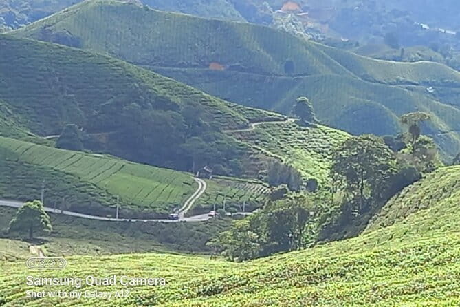 Cameron Highlands Private Day Tour from Ipoh, Package B - A Smooth Ipoh Departure, Without the Stress of Transfers