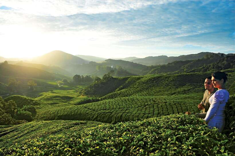 Cameron Highlands Private Day Tour from Kuala Lumpur - Getting out of Kuala Lumpur and up into the cool