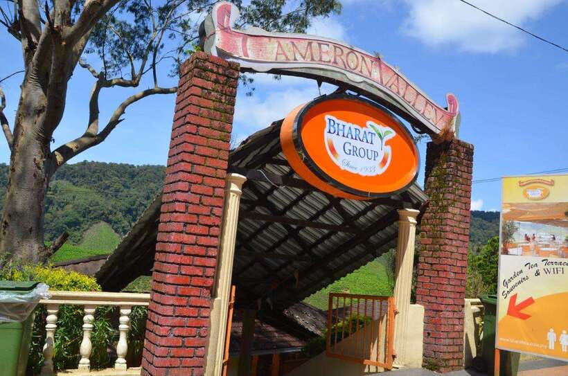 Cameron Highlands Private Day Trip - Lata Iskandar Waterfalls: a rainforest-style break that doesn’t take all day