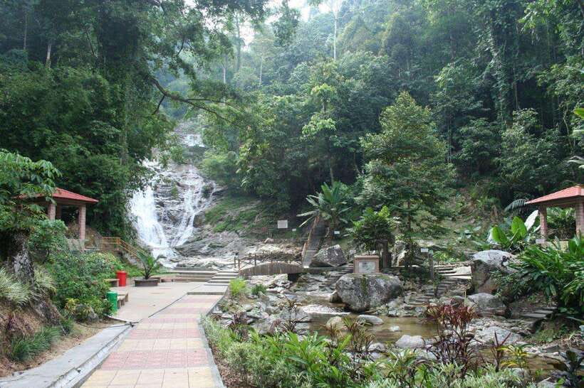 Cameron Highlands Private Day Trip - Bharat Tea Farm: tea country made visible