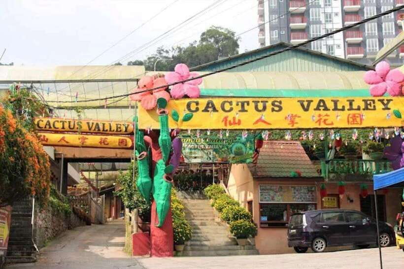 Cameron Highlands Private Day Trip - Big Red Strawberry Farm: cool climate, ripe berries, and farm time