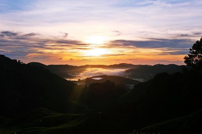 Cameron Highlands Sunrise Discovery - Boh Tea Plantation and Factory Visit, From Leaves to Your Morning Cup
