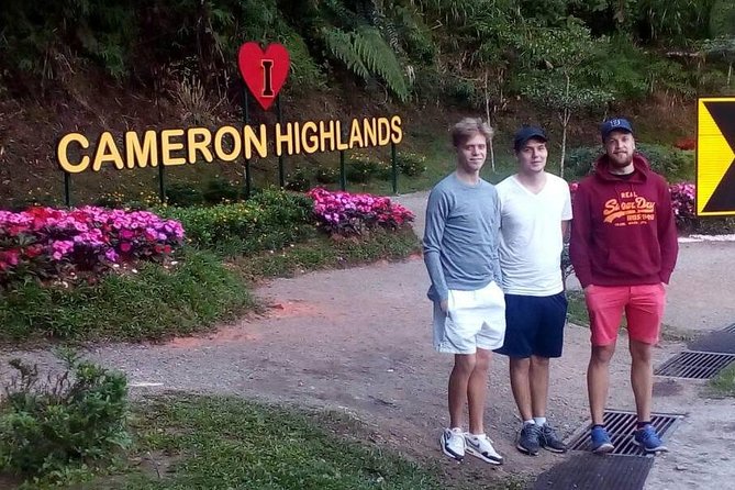Cameron Highlands Sunrise Discovery - The 4-Hour Timing, Hotel Transfers, and Small Group Comfort