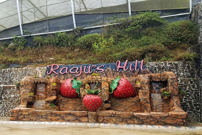 Cameron Highlands Tour From Kuala Lumpur (Private Tour) - From Kuala Lumpur to 1,542 meters: the smooth start matters