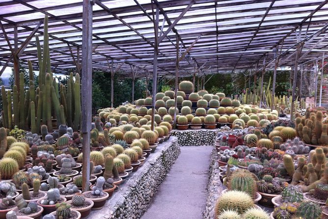 Cameron Highlands Tour From Kuala Lumpur (Private Tour) - Golfers Café and lunch before heading back