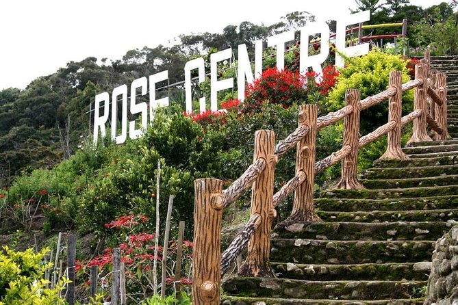 Cameron Highlands Tour on Private Basis - Strawberry farm self-picking, plus roses and fresh fruit stops
