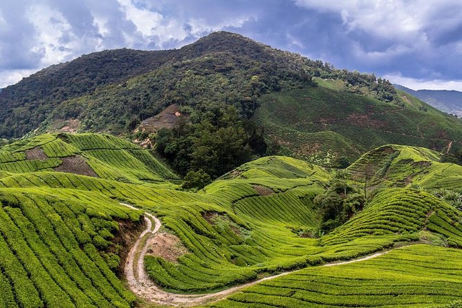 Cameron Highlands Tour on Private Basis - Butterflies, insects, and the Lata Iskandar waterfall photo break