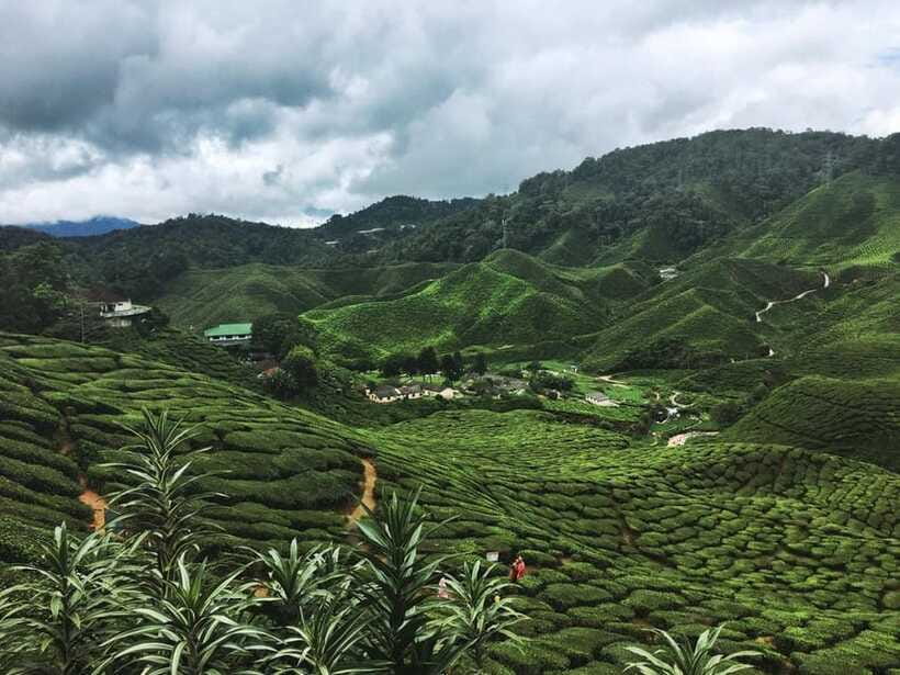 Cameroon Highland : Best nature in highland - Lunch and the pace of a private 14-hour day