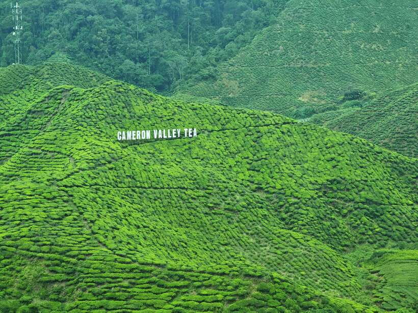 Cameroon Highland : Best nature in highland - Getting there from Kuala Lumpur: the AC drive that sets the tone