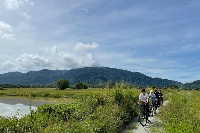 Countryside Biking Tour in Langkawi - The first stretch: Langkawi lanes with orchards, paddy fields, and rubber farms