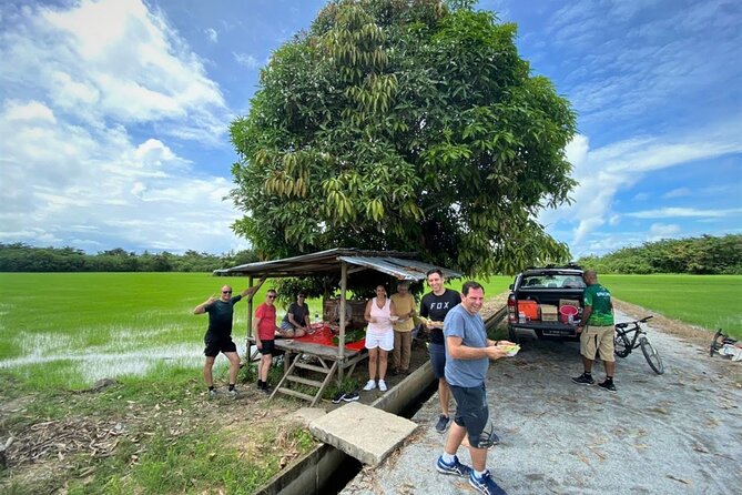Countryside Cycling Tour. T1.0 by Matahari - Route Reality: Rice Fields, Village Lanes, Orchards, and Mangroves