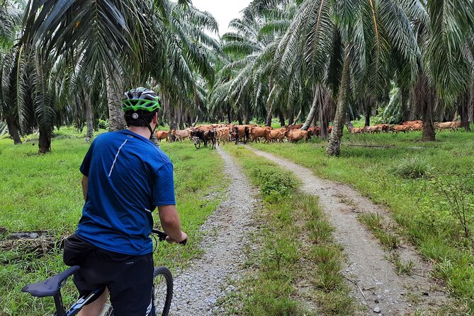 Countryside Cycling Tour. T1.0 by Matahari - Lunch Included, Even With a Rice Field Setting