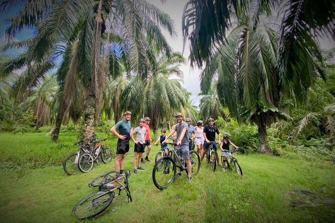 Countryside Cycling Tour. T1.0 by Matahari - Price and Value: CA$138.34 for a Guided Countryside Half-Day