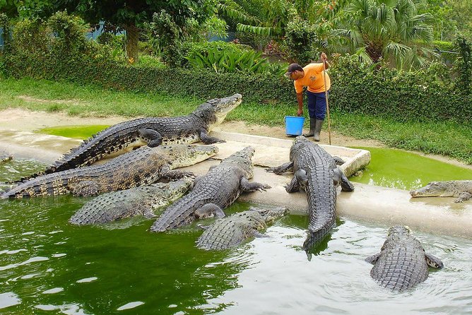 Customize Langkawi Full Day Tour (8 hrs-Private Tour) - Who this tour suits best