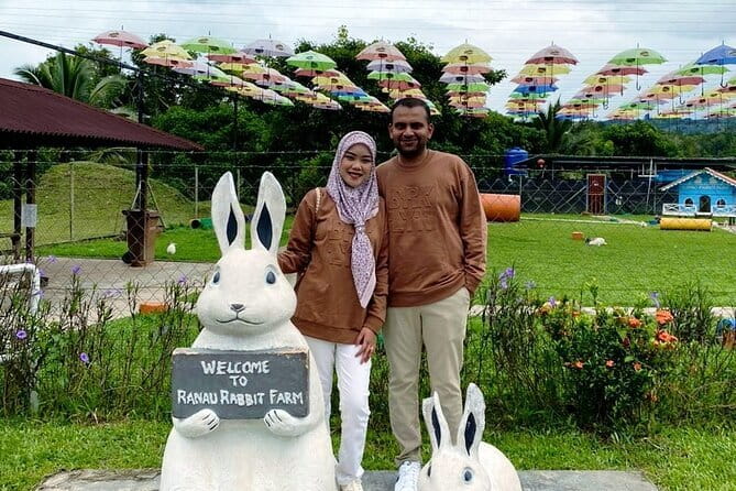 Day Trip Kundasang Sabah - Fish Spa Feeding and Arnab Village Bunny Time