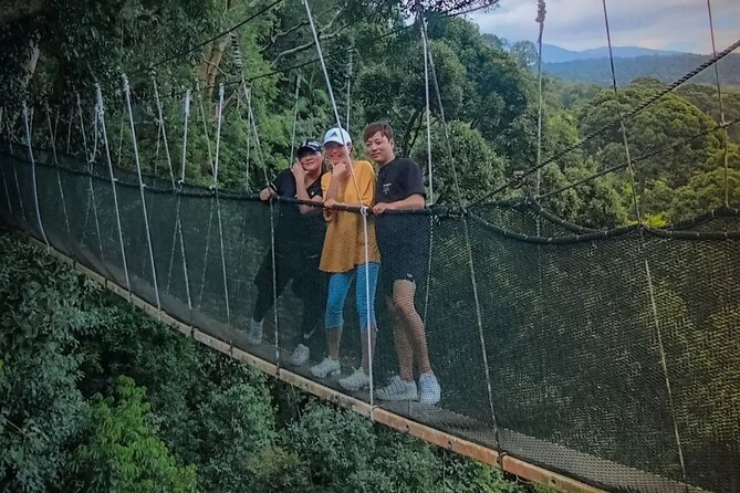 Day Trip to Kinabalu Park and Poring Hot Spring Guided Tour - Key highlights you will actually feel