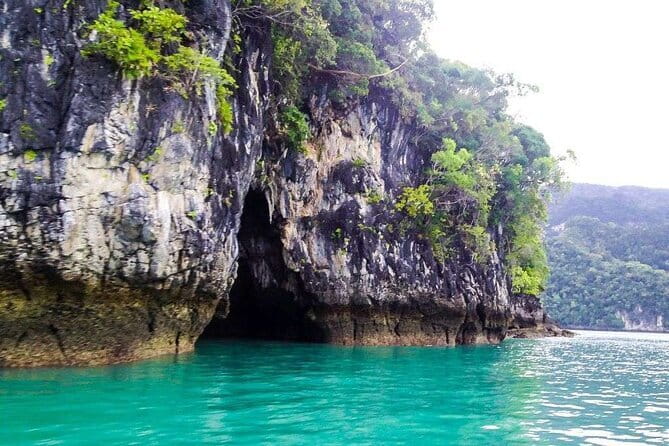Discover Mangrove Forest and Cave Tour in Langkawi (Shared Tour) - Kilim River mangroves: the main reason this tour is worth your half day