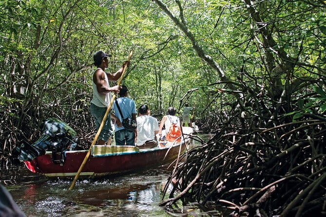 Discover Mangrove Forest and Cave Tour in Langkawi (Shared Tour) - Fish farm break and lunch: useful, but optional means be flexible