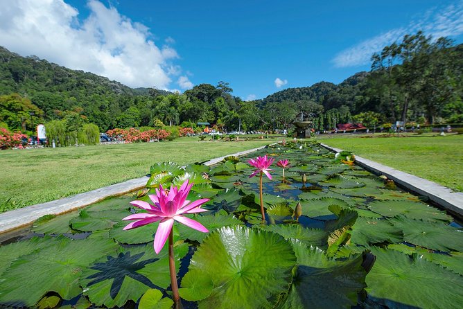Discover Penang's Best: Hill, Beach, Botanic Gardens & Kek Lok Si - Who this tour fits best, and who should pick something else