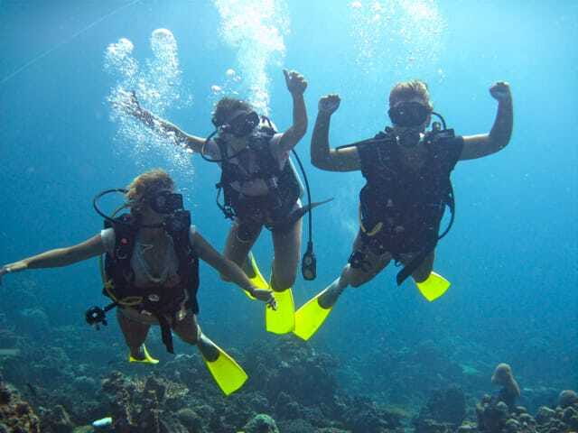 Enjoy 3 Fun Dives in Kota Kinabalu | Certified Divers - Tunku Abdul Rahman Marine Park: the wildlife you should actually hope for