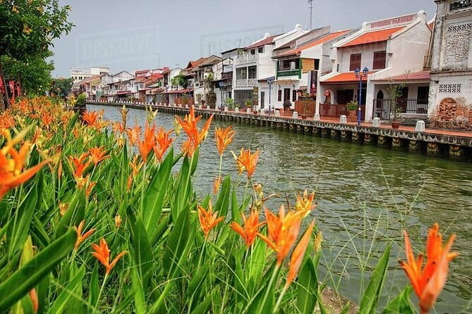 Exclusive Malacca Private Tour - Private comfort, real pacing, and what an 8-hour day feels like