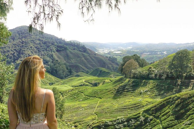 Explore Cameron Highlands: Full-Day Tour with Scenic Batu Caves - Batu Caves and Cameron Highlands in one long day