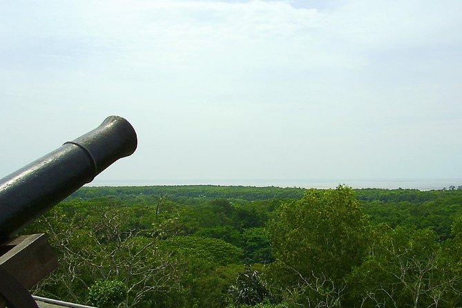 Fireflies and Kuala Selangor Tour Including Dinner - Bukit Melawati Fort: monkeys, views, and an easy first stop