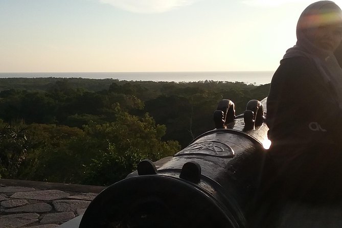 Fireflies and Kuala Selangor Tour Including Dinner - How the historic fort and nature park work together