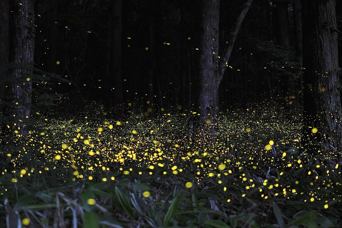 Fireflies Cruise with Batu Cave Visit and Seafood Dinner - Stop 2: Bukit Melawati and Melawati Hill views over the Straits