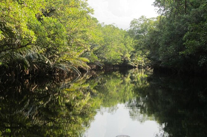 Fireflies Tour in Cherating - Key points to know before you go
