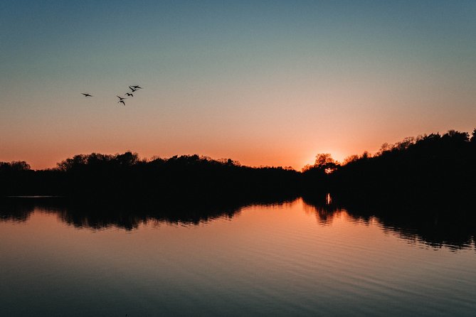 Fireflies Tour in Cherating - A 60-Minute Mangrove Night Show in Cherating