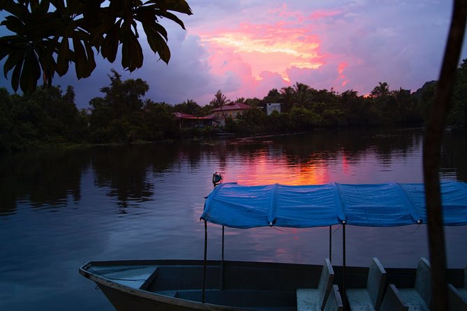 Fireflies Tour in Cherating - Cruising the Cherating River mangroves after twilight