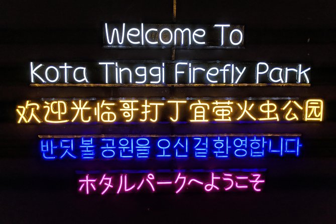 Firefly Tour Johor Bahru@Kota Tinggi Firefly Park - The 45-minute Johor River cruise: where the fireflies put on a show
