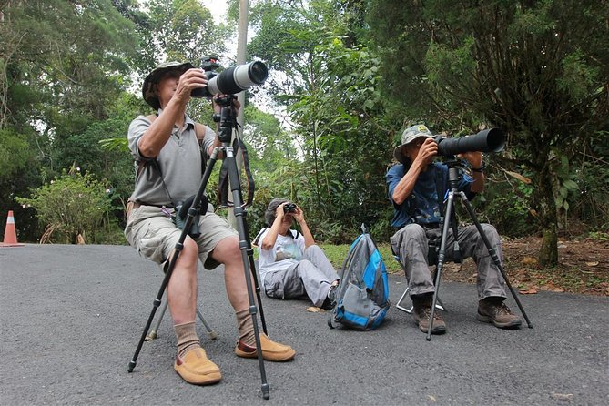Fraser's Hill Bird-Watching & Nature Sightseeing Tour from Kuala Lumpur - A 5:30 AM Escape to Fraser’s Hill Bird Country