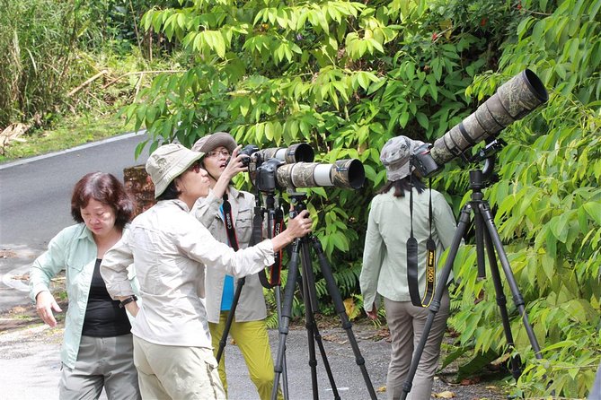 Fraser's Hill Bird-Watching & Nature Sightseeing Tour from Kuala Lumpur - Bukit Fraser First Stop: Views and Birding That Starts Immediately