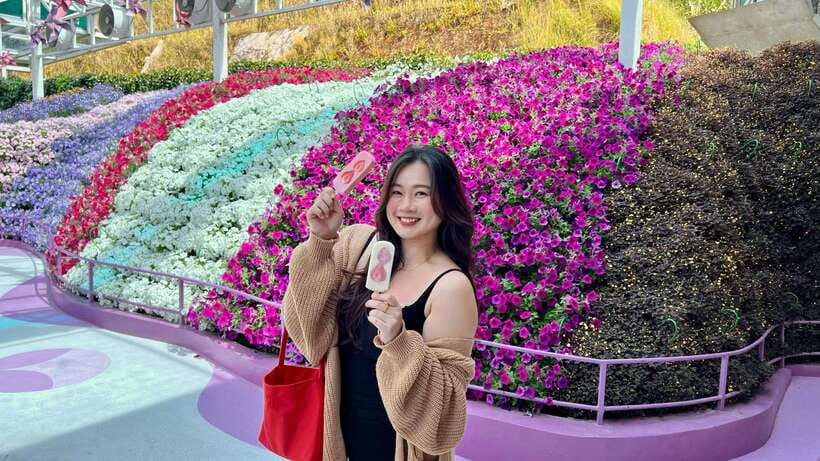 From Kuala Lumpur: Cameron Highlands Day Tour with Lunch - Who This Cameron Highlands Tour Best Fits