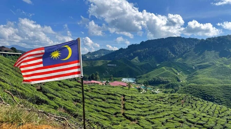 From Kuala Lumpur: Cameron Highlands Day Tour with Lunch - Lata Iskandar Waterfall: A Short Scenic Reset Before the Drive Back