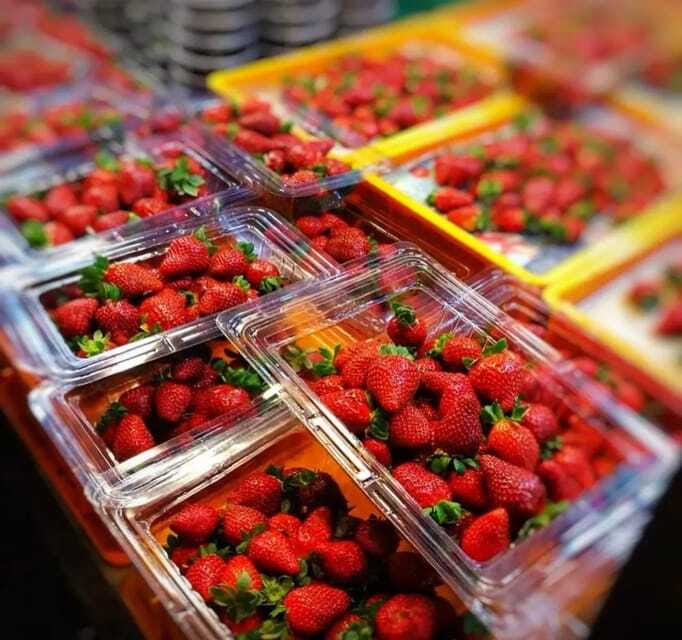 From Kuala Lumpur: Cameron Highlands Day Trip with Transfers - Key things that make this day trip work