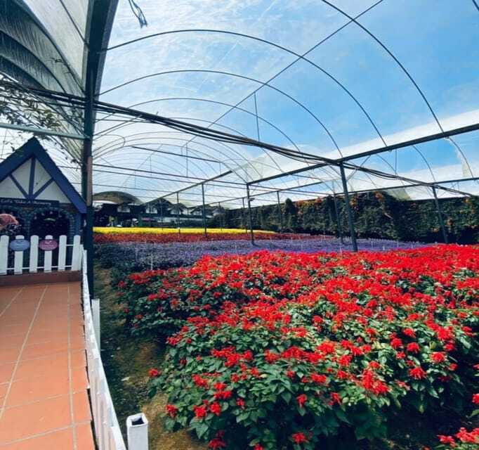From Kuala Lumpur: Cameron Highlands Day Trip with Transfers - Time, comfort, and what to pack for a 12-hour schedule