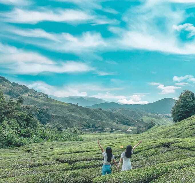 From Kuala Lumpur: Cameron Highlands Day Trip with Transfers - First stop, Lata Iskandar Waterfalls and a quick rainforest break