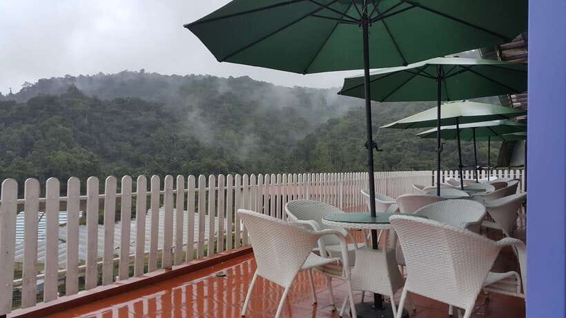 From Kuala Lumpur: Cameron Highlands Full-Day Tour - Price and logistics from Kuala Lumpur, what $146 really buys