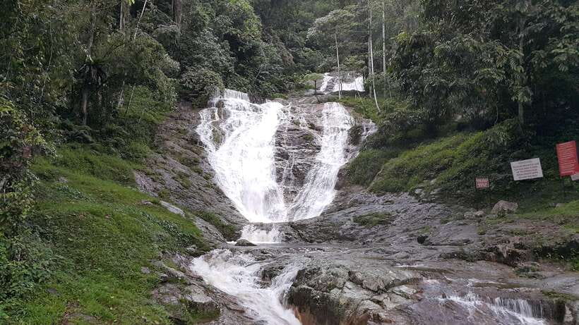 From Kuala Lumpur: Cameron Highlands Full-Day Tour - Kea Farm, vegetable gardens and market time